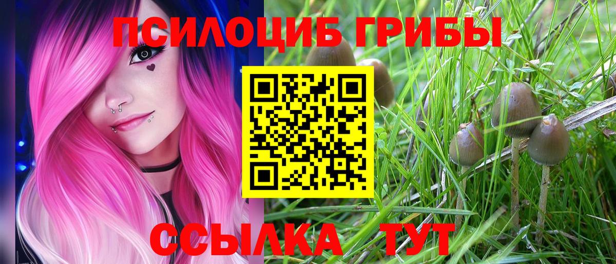 Галлюциногенные грибы GOLDEN TEACHER  Вход с VPN  Ростов Великий 